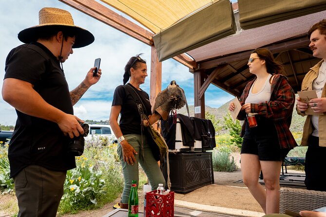 Experience Raptors and Falconry in Reno - What Kathleen Teaches Beyond the Photo