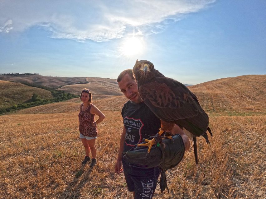 Experience with birds of prey in Tuscany - A short walk with a wide Tuscan view