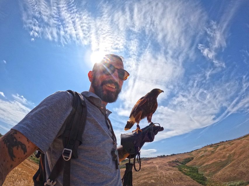 Experience with birds of prey in Tuscany - Timing, weather, and planning advice