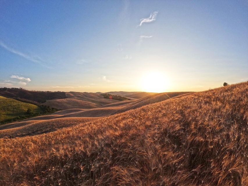 Experience with birds of prey in Tuscany - Davide’s introduction to falconry