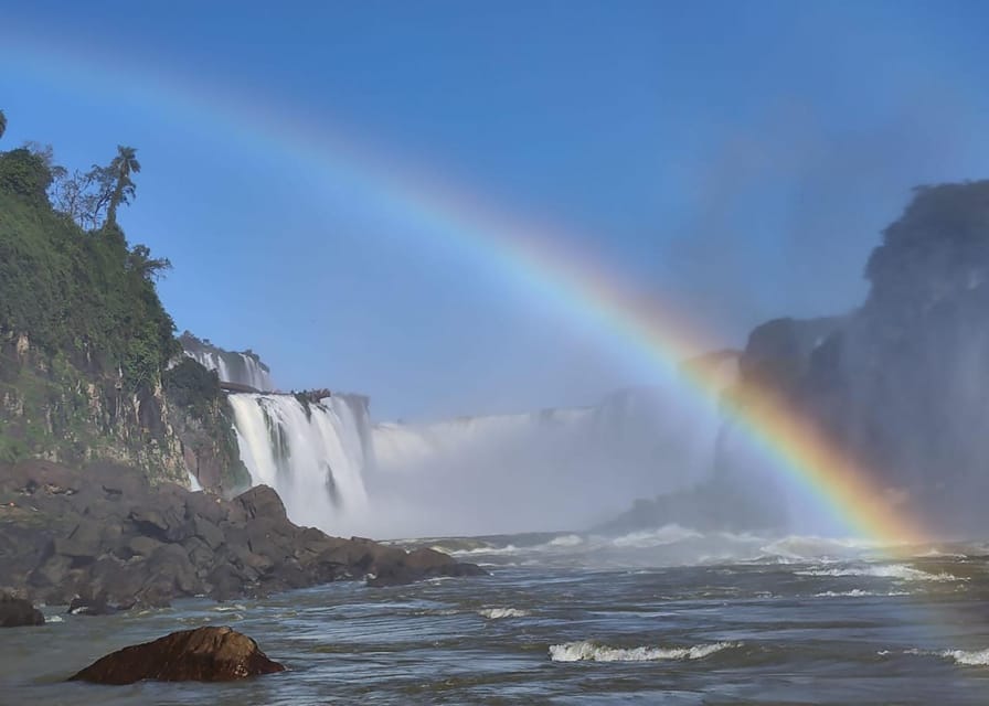 Explore Iguazu Falls and Bird Park: Complete Tour - The Bird Park and its close-up wildlife