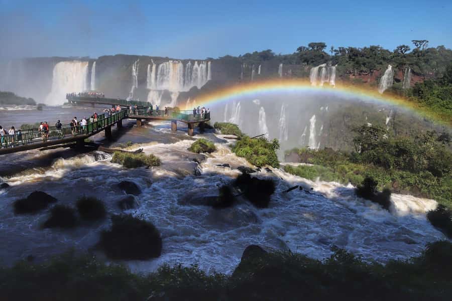 Explore the Falls, Bird Park and Macuco Safari - Why this nine-hour day works