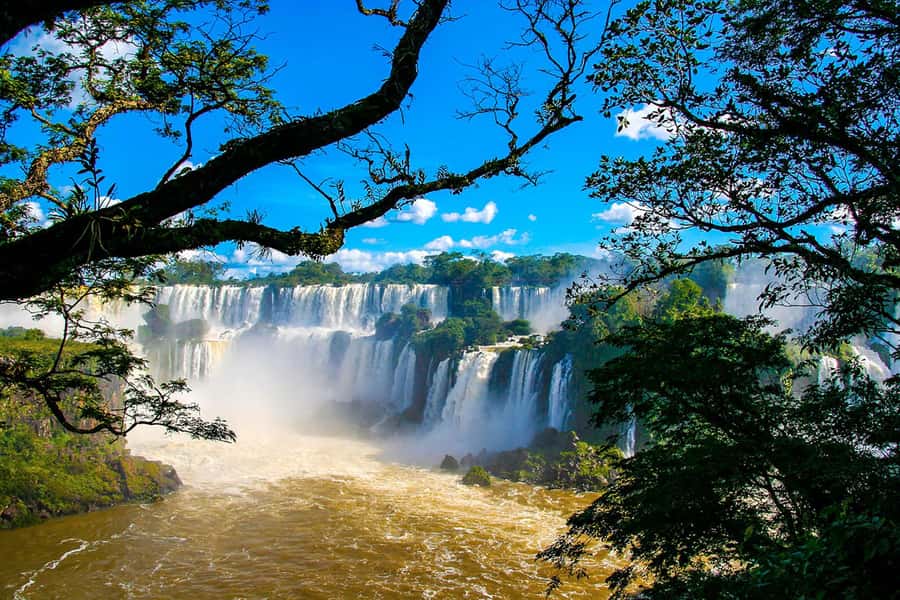 Explore the Falls, Bird Park and Macuco Safari - The guided walk on a marked forest trail