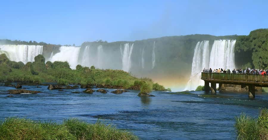 Explore the Falls, Bird Park and Macuco Safari - Macuco Safari, the day’s loudest moment