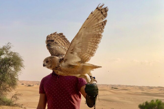 Falcon 1—Private Dubai Falconry Safari - Adding breakfast at Al Maha Desert Resort