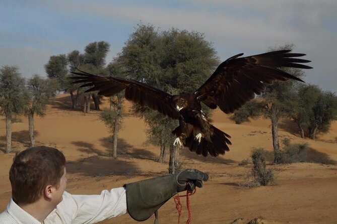 Falcon 1—Private Dubai Falconry Safari - Is $274 per person a fair price?