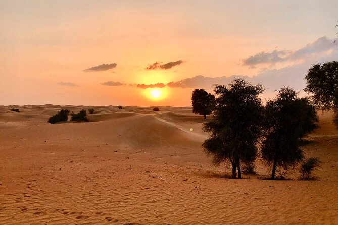 Falcon 1—Private Dubai Falconry Safari - Leaving Dubai before dawn