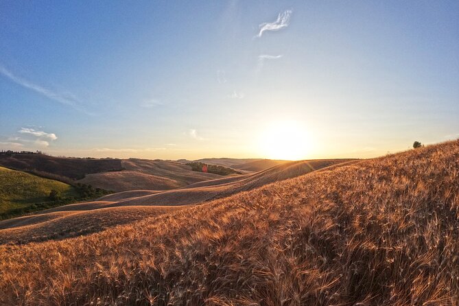 Falconry experience in Tuscany - Meeting the birds above Asciano