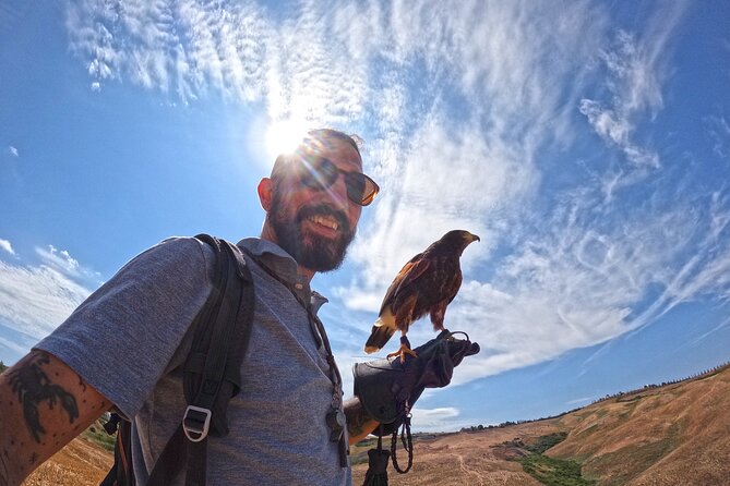 Falconry experience in Tuscany - What the 90 minutes include