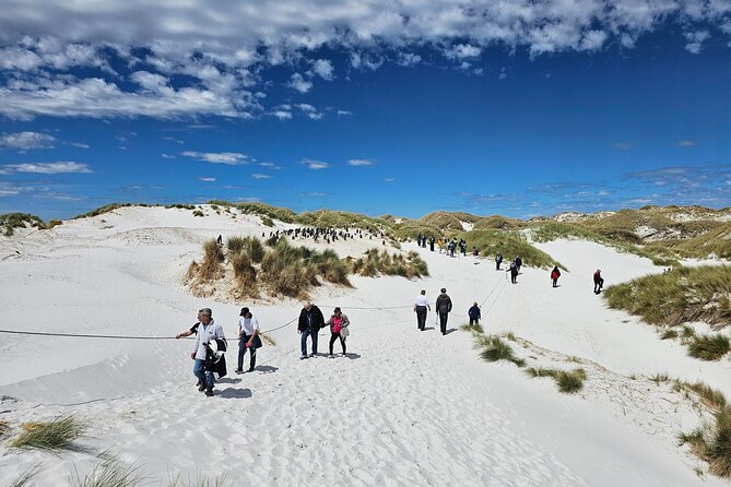 Falkland Islands Shared Tour Sightseeing with Penguins - Stanley from the van: landmarks with local context
