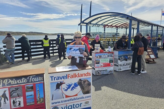 Falkland Islands Shared Tour Sightseeing with Penguins - Cruise timing, meeting details, and the late-start risk