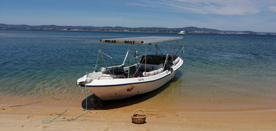 Faro: Eco-Friendly Ria Formosa Bird Watching in Solar Boat - Timing, weather, and what to pack