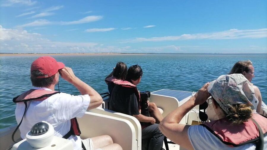 Faro: Ria Formosa Eco Birdwatching Boat Tour - Key points to know before you book