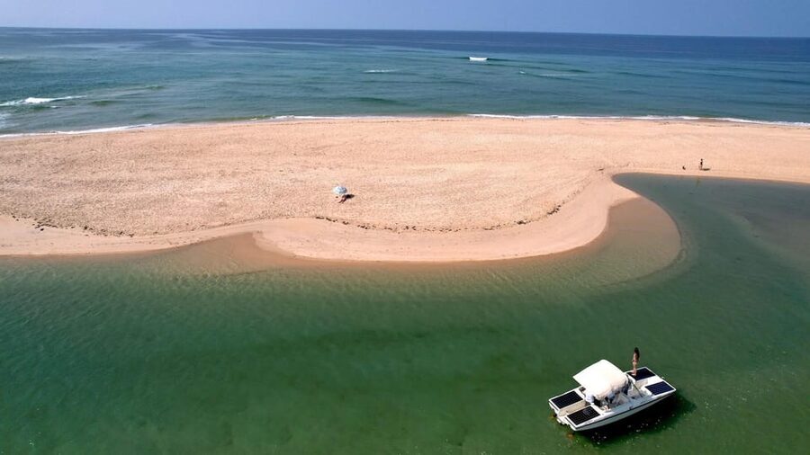 Faro: Ria Formosa Eco Birdwatching Boat Tour - What the $47 price gets you