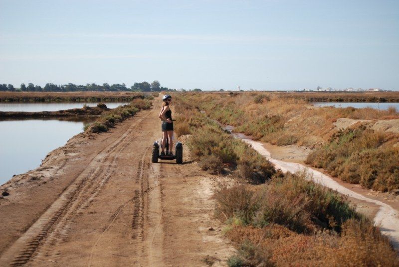 Faro: Ria Formosa Natural Park Segway Tour & Birdwatching - Birdwatching at Ludo
