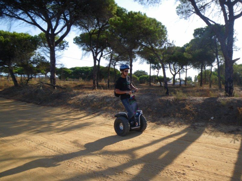 Faro: Ria Formosa Natural Park Segway Tour & Birdwatching - Is $66 good value?