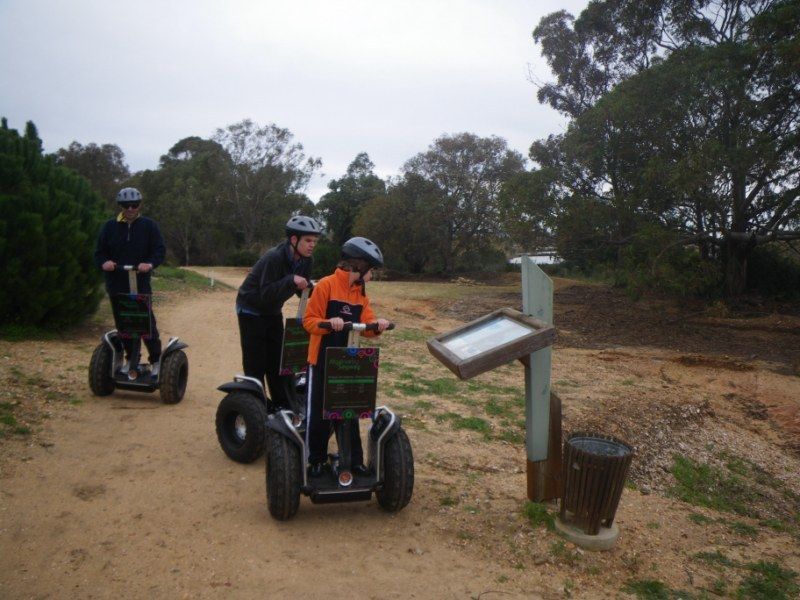 Faro: Ria Formosa Natural Park Segway Tour & Birdwatching - Timing your visit for birds and comfort