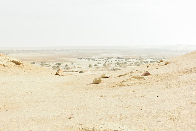 Fayoum Full Day tour Bird Watching - Lunch comes late, so plan your morning