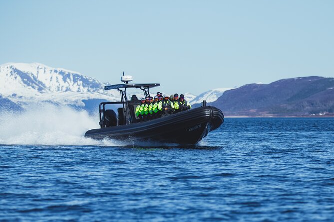 Fjord and Sea Eagle Safari from Sortland - Setting out from Sortland at 10:00 a.m.