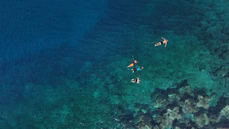 Flamingo Beach: Guided SUP and Snorkeling experience - Paddling across the bay at Flamingo Beach