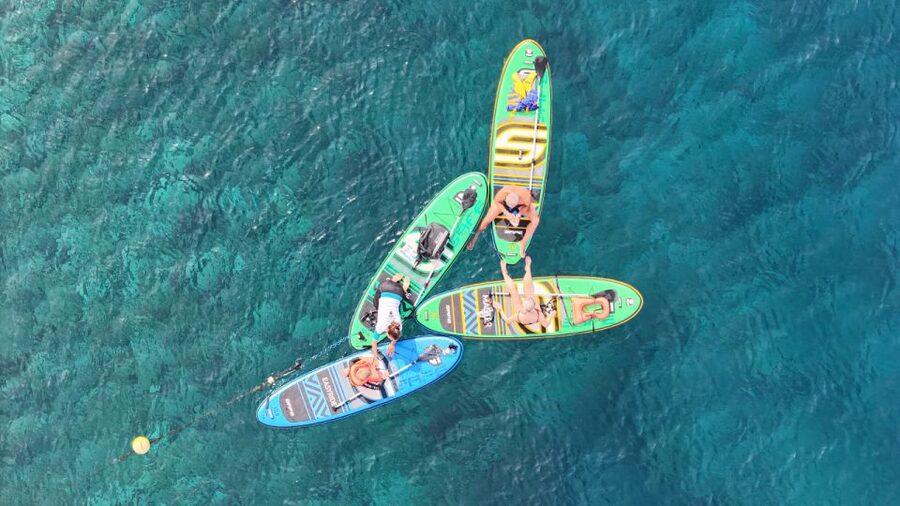 Flamingo Beach: Guided SUP and Snorkeling experience - Snorkeling with fish names and useful guidance