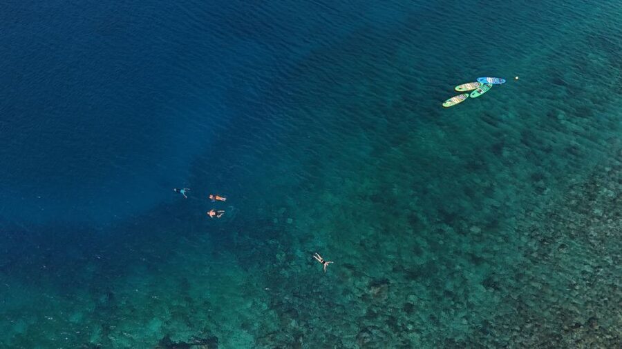 Flamingo Beach: Guided SUP and Snorkeling experience - Families, solo visitors, and nervous beginners