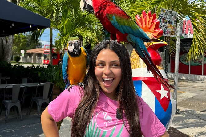 Flamingo Bus Miami Tours | Miami's Only Open-Air Trolley! - Why this two-hour Miami overview works
