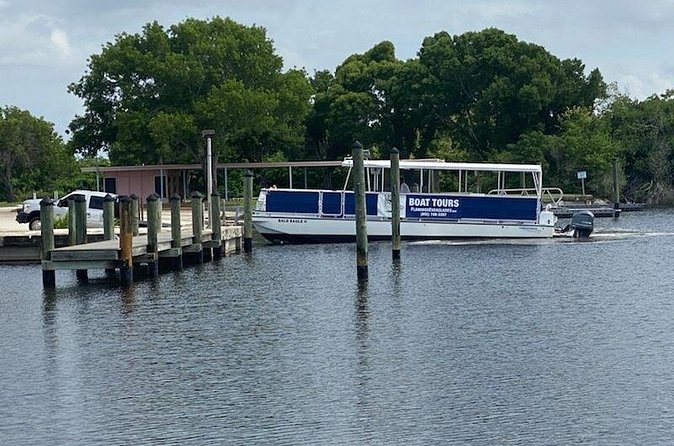 Flamingo Everglades Boat Tours - Timing, comfort, and what to bring