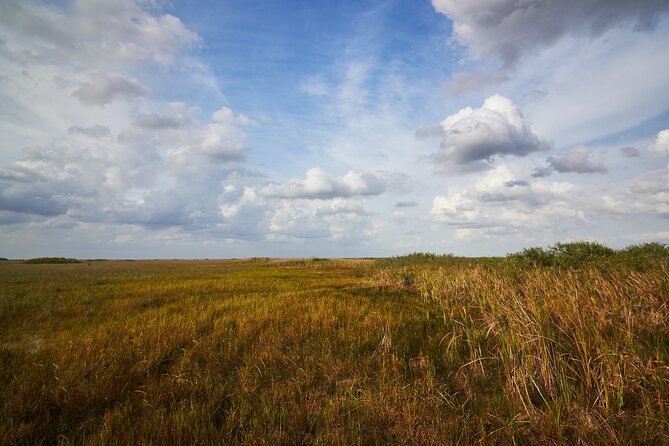 Flamingo Everglades Boat Tours - Wildlife: crocodiles, manatees, birds, and surprises