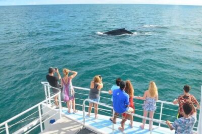 Flamingo Family Fun Catamaran Snorkel:Comfortable shaded seating