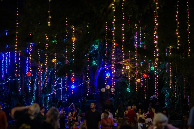 Flamingo Gardens' Garden of Lights - What the Garden of Lights actually is