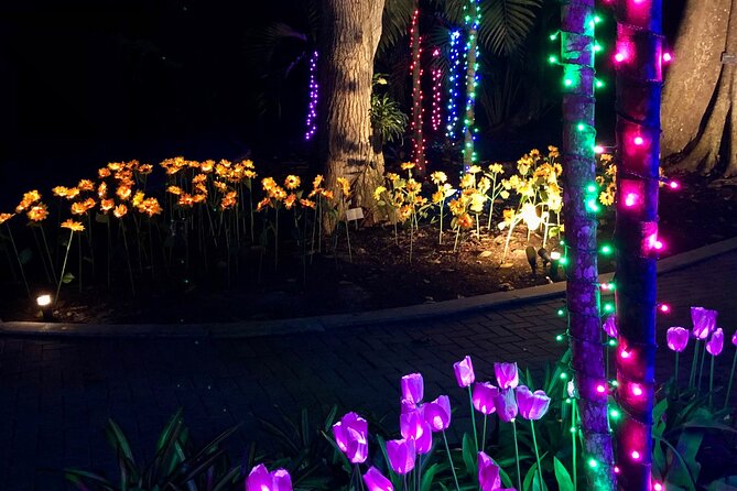 Flamingo Gardens' Garden of Lights - Food, drinks, and the extra-cost question