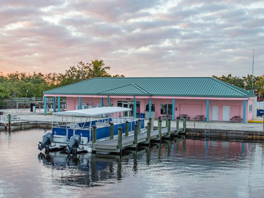 Flamingo Marina: Backcountry Boat Tour of the Everglades - Starting at Flamingo Marina