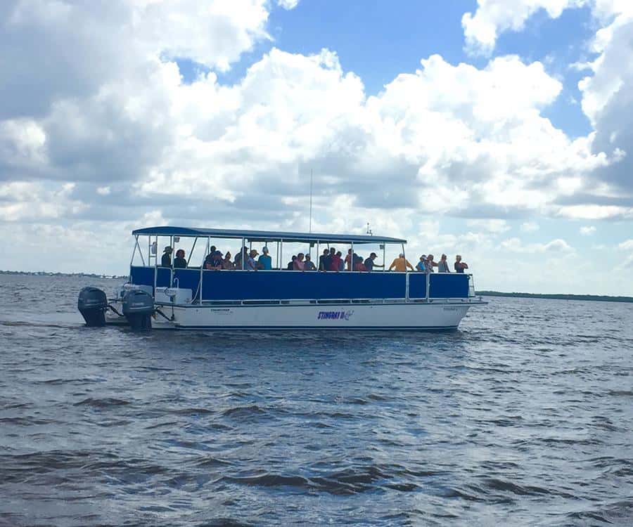 Flamingo Marina: Florida Bay Boat Tour of the Everglades - A 90-minute cruise across Florida Bay