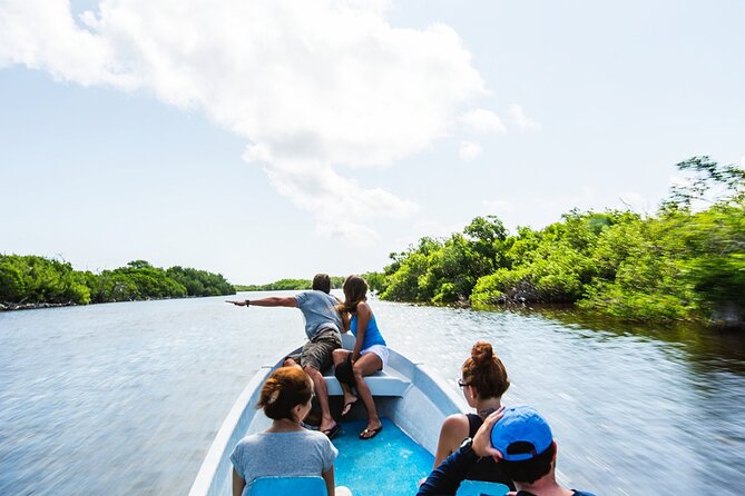 Flamingo Sightseeing Pink Lake Tour and Rio Lagartos Boat Ride - Is the $129 price good value?