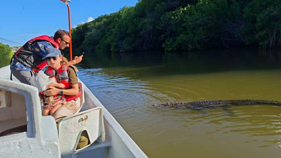 flamingo tour in Rio Lagartos, Yucatan 3 hours - Why Rio Lagartos works so well for a wildlife boat trip