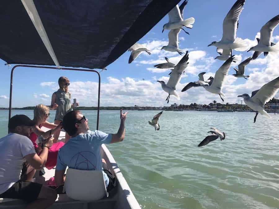 flamingo tour in Rio Lagartos, Yucatan 3 hours - Who will enjoy this Rio Lagartos tour most?