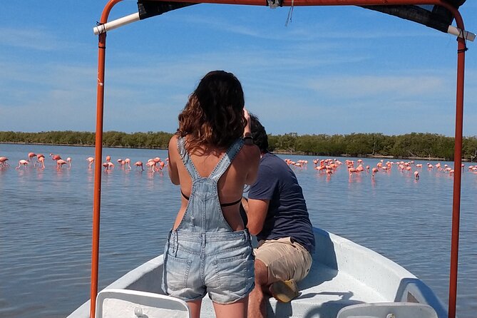 Flamingos Tour in Rio Lagartos Yucatan 2 hours - Key details before you book