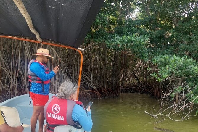 Flamingos Tour in Rio Lagartos Yucatan 2 hours - Who should book this Rio Lagartos tour