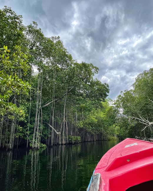 Floyd’s Pelican Bar, Ys Falls and Black River Safari Tour - The guide matters more than the schedule