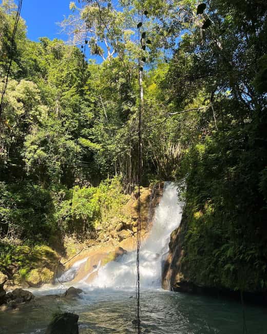 Floyd’s Pelican Bar, Ys Falls and Black River Safari Tour - Who should book this outing?