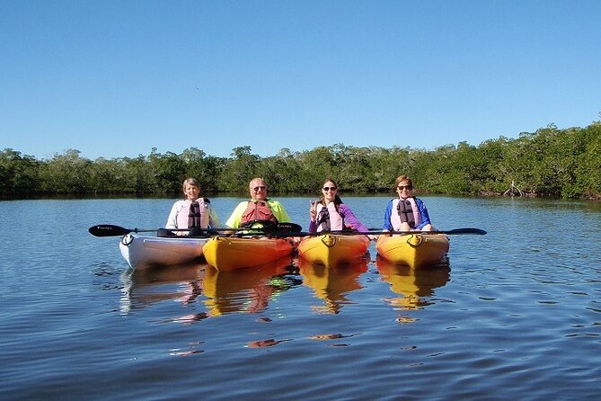 Fort Myers Beach: 1 Hour Guided SUP/Kayak Experience - What this one-hour Fort Myers Beach paddle is really like