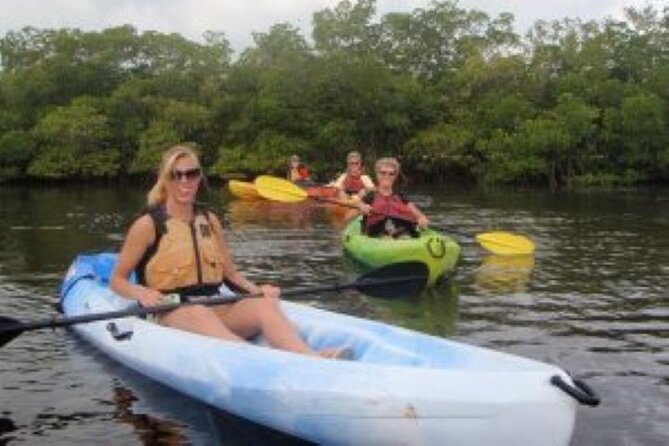 Fort Myers Beach: 1 Hour Guided SUP/Kayak Experience - Wildlife is the highlight, but keep expectations sensible