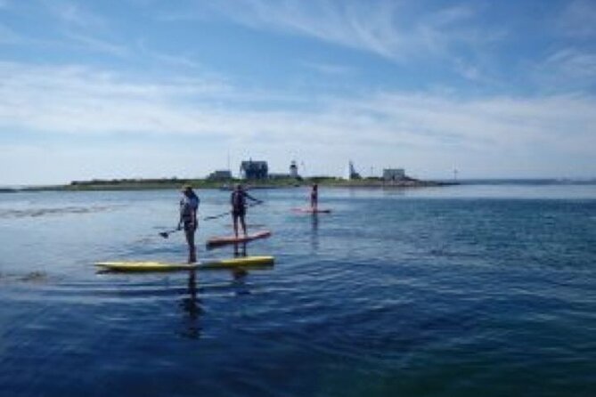 Fort Myers Beach: 1 Hour Guided SUP/Kayak Experience - Who will enjoy this Fort Myers Beach experience?