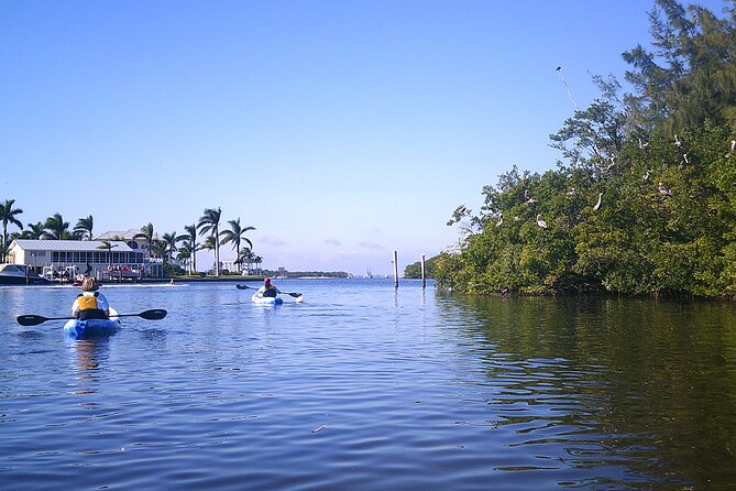 Fort Myers Beach: Guided Kayak Sunset Tour in Pelican Bay - The Pelican Bay meeting point and the first few minutes
