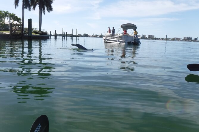 Fort Myers Beach: Guided Kayak Sunset Tour in Pelican Bay - Sunset conditions and what you can realistically expect