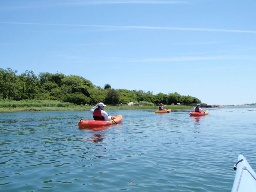 Fort Myers: Guided Kayak or SUP Tour in Pelican Bay - Key Points