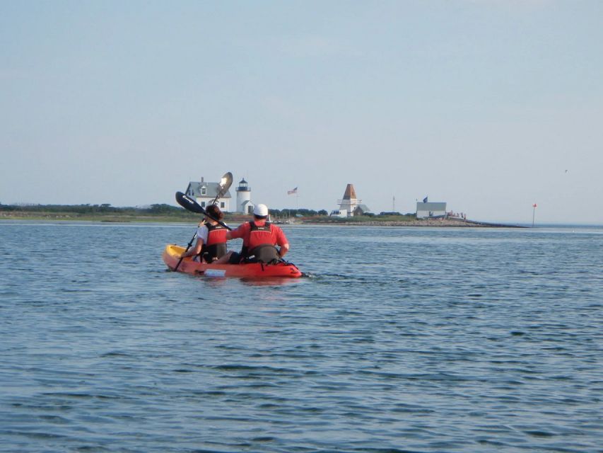 Fort Myers: Guided Kayak or SUP Tour in Pelican Bay - Kayak or Standup Paddleboard?