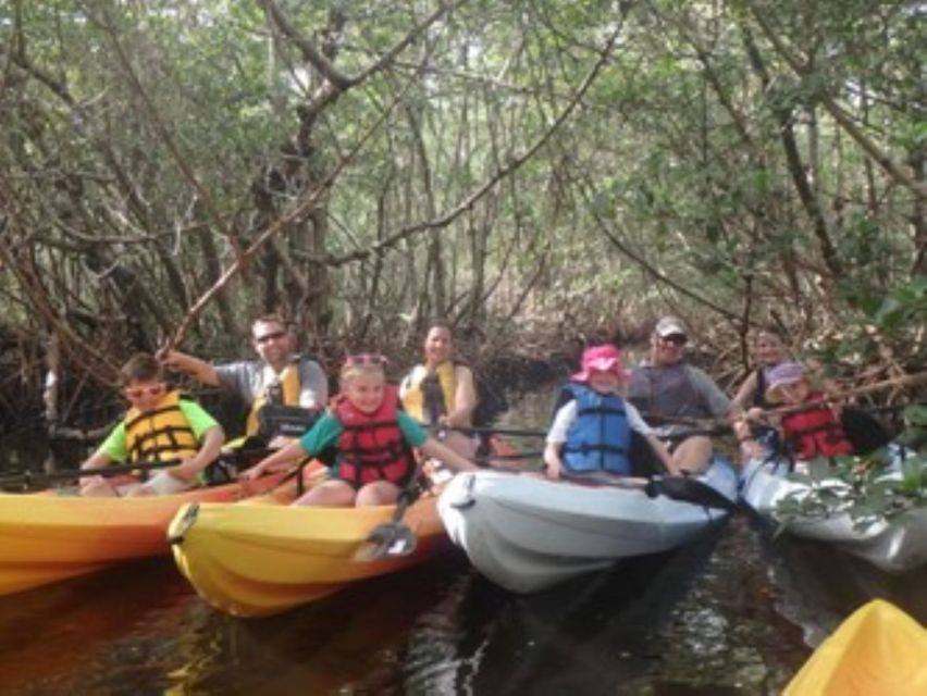 Fort Myers: Guided Kayaking Eco Tour in Pelican Bay - Paddling through mangroves and shallow bays