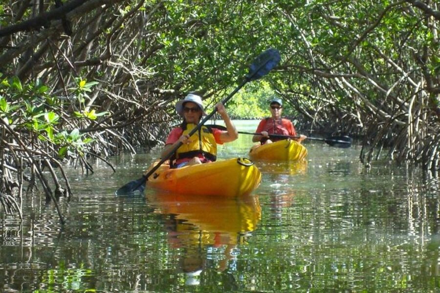 Fort Myers: Guided Kayaking Eco Tour in Pelican Bay - Photos and the practical side of the water